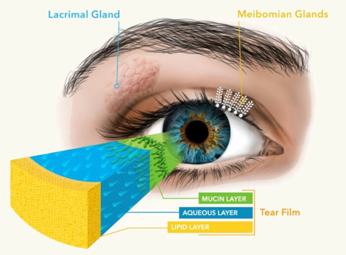 Dry Eyes | Oasis Face and Skin, Ashland, Medford, Grants Pass, Oregon